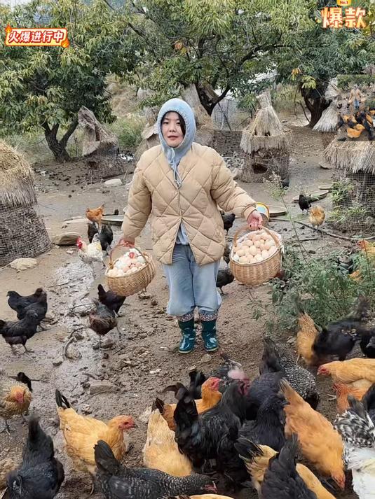 散养鲜土鸡蛋现捡现发破损包赔新鲜直达