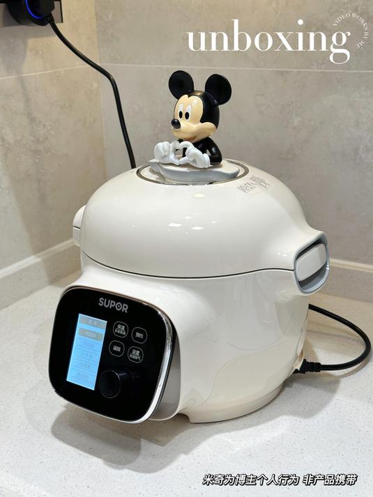 会自动泄压的电压力锅!-苏泊尔SY-30YZ100