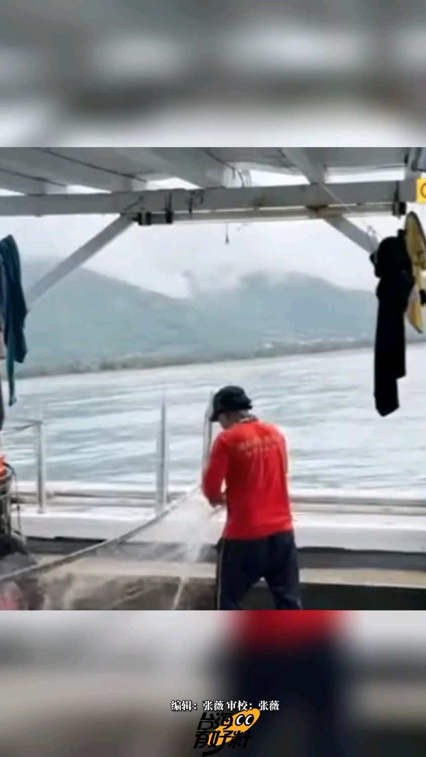 罕见!台东惊现橘色“盔甲鱼”