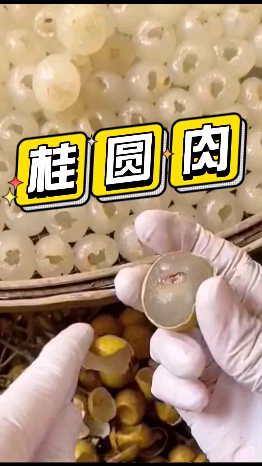 家庭自制桂圆肉,你学会了吗?