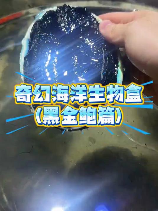 又是一群神奇海洋小动物！但是这回的动物好像有点太抽象了！