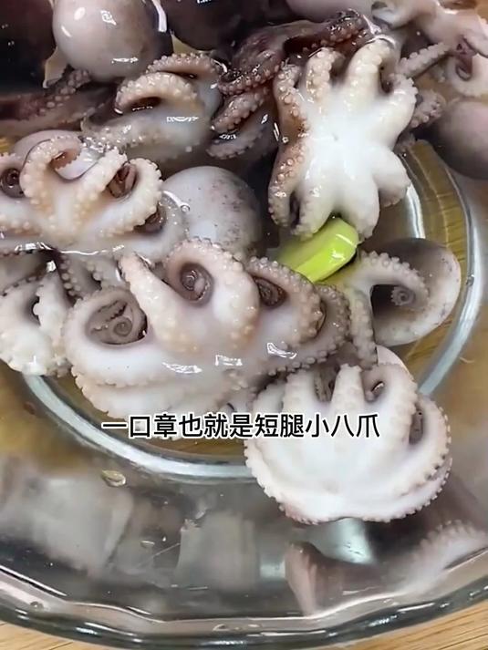 鲜嫩好吃的爆炒八爪鱼,也叫小章鱼,Q弹好吃,下酒又下饭
