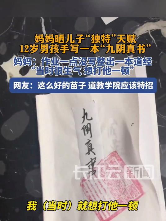 妈妈晒儿子“独特”天赋,12岁男孩手写一本“九阴真书”