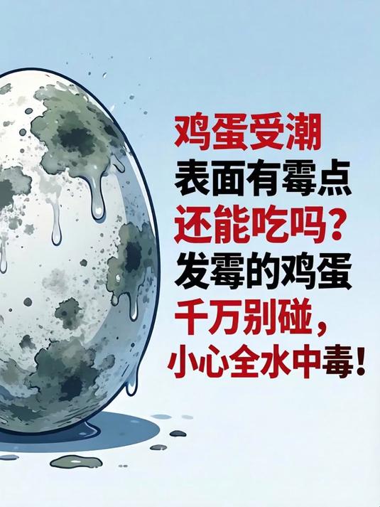 鸡蛋受潮表面有霉点还能吃吗？发霉的鸡蛋千万别碰，小心全家中毒！