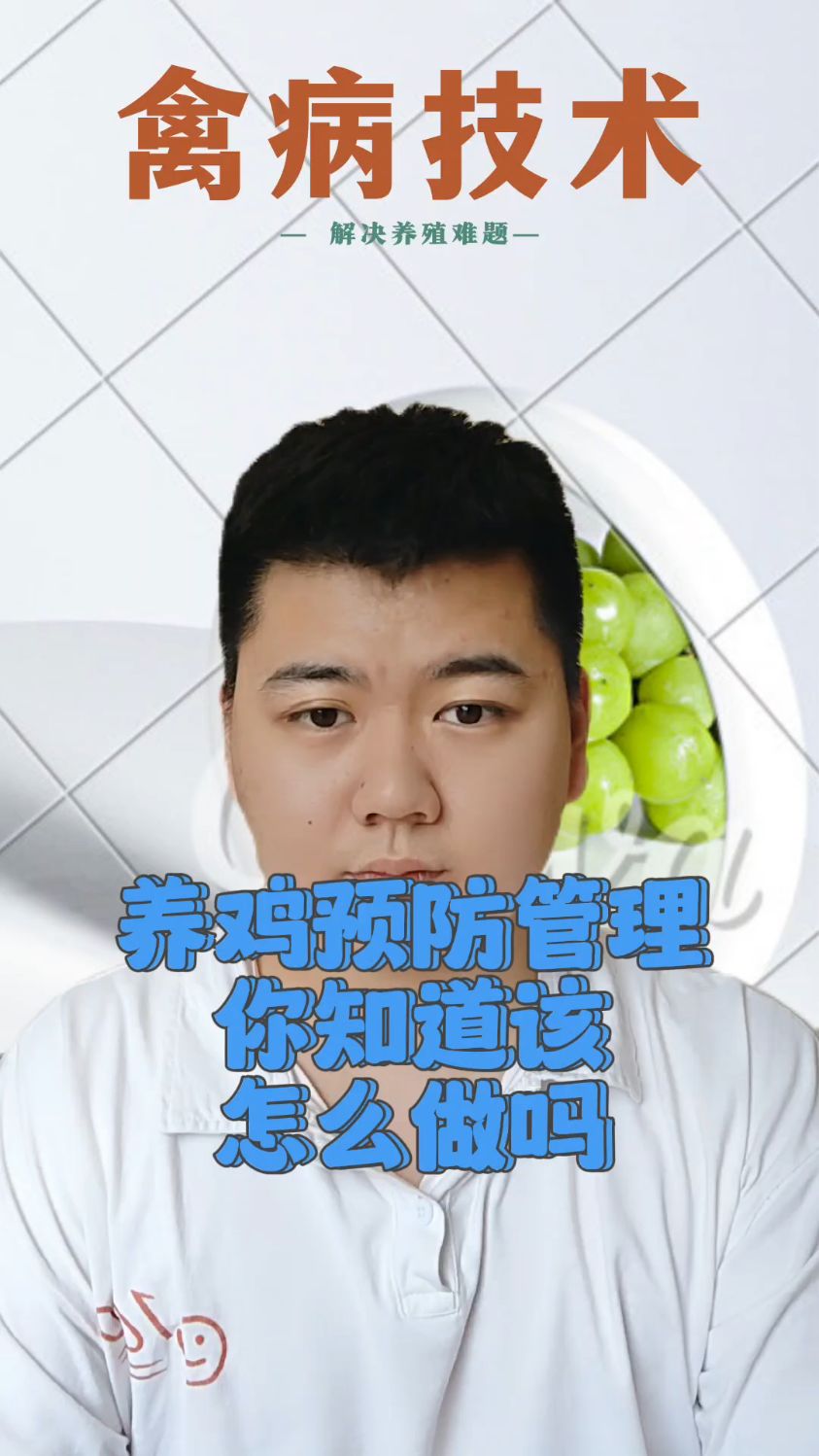 #养鸡用药程序有哪些养鸡预防程序有哪些养鸡常用预防药物有哪些养殖鸡预防病用什么