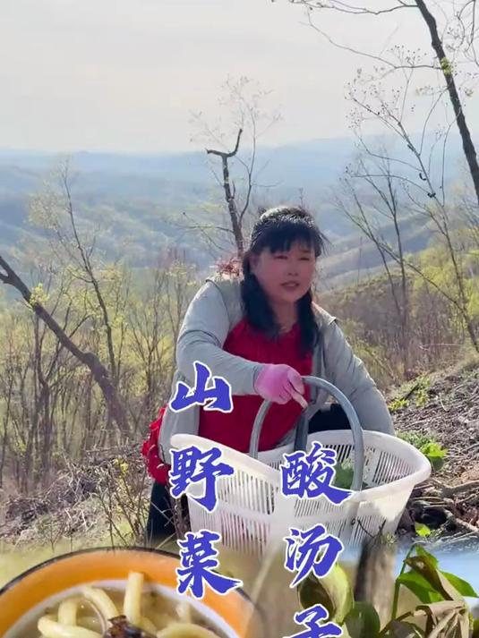 春日野趣,采野菜、吐露酸汤子 在搭配上蚕蛾酱