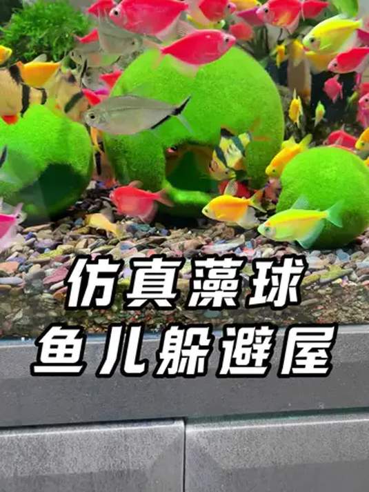 仿真绿藻球躲避屋 好看实用 小鱼嬉戏最爱钻