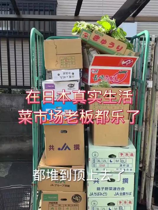 菜市场老板看到我就乐#日本生活#