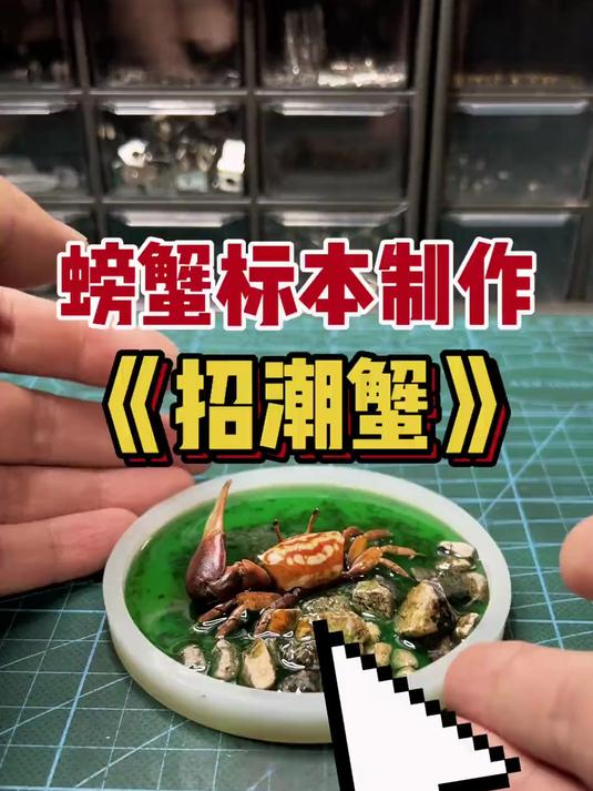 招潮蟹标本滴胶小摆件制作