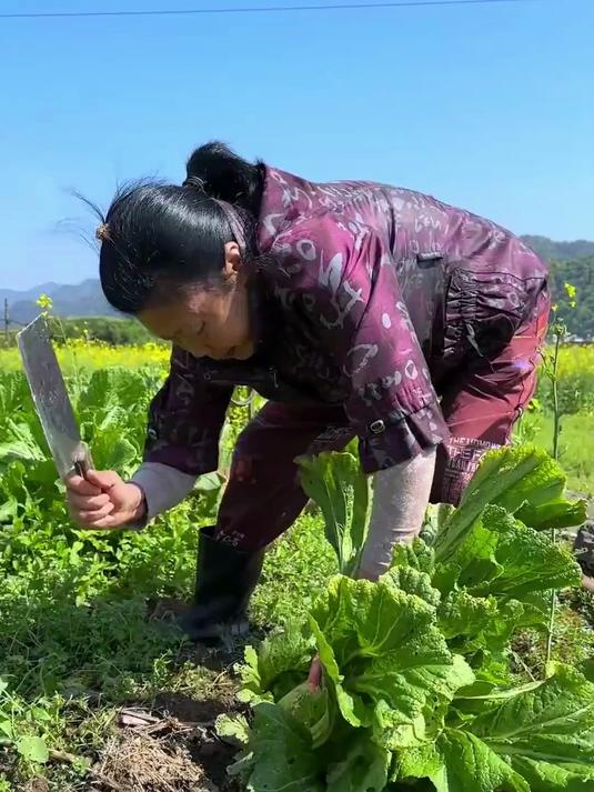 自家晾晒无沙梅干菜 软糯入味 蒸肉炒菜皆宜