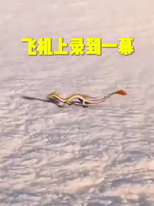 发誓远离街边油炸高热量小吃_路过美食街瞬间打破饮食自律