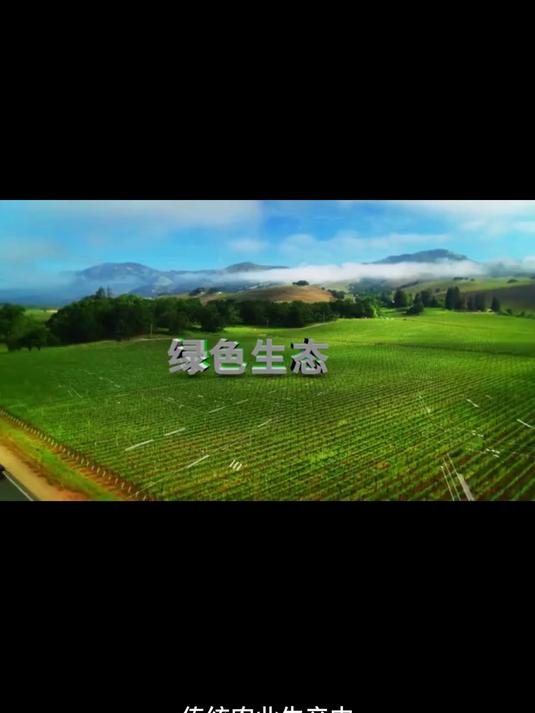 重大突破,人工合成淀粉工艺技术