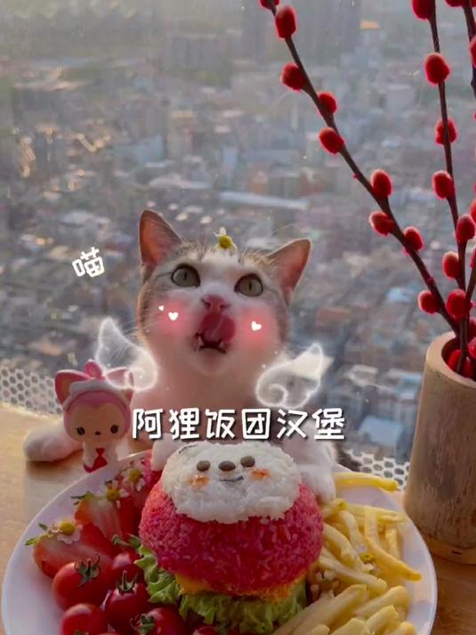 阿狸饭团汉堡,今天就一口把你吃掉!