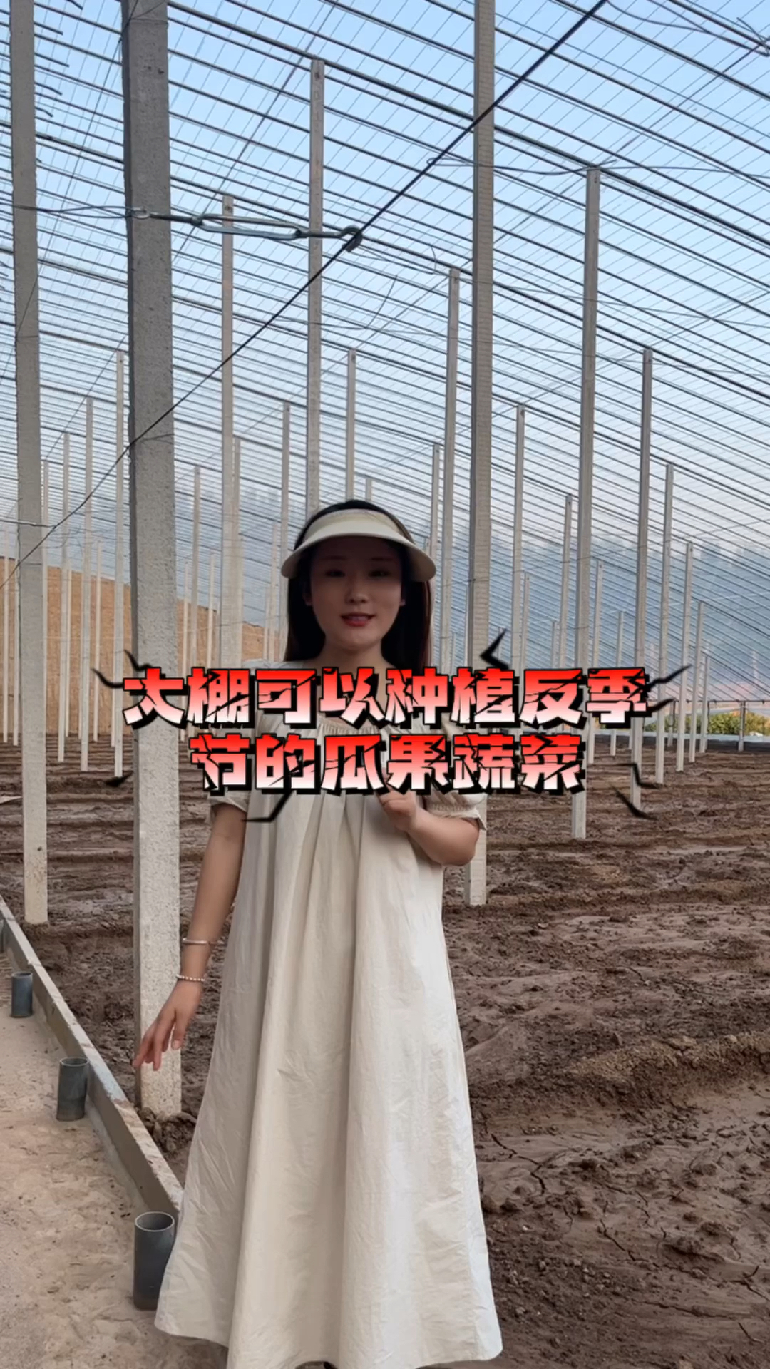 这个大棚可以种植反季节的瓜果蔬菜