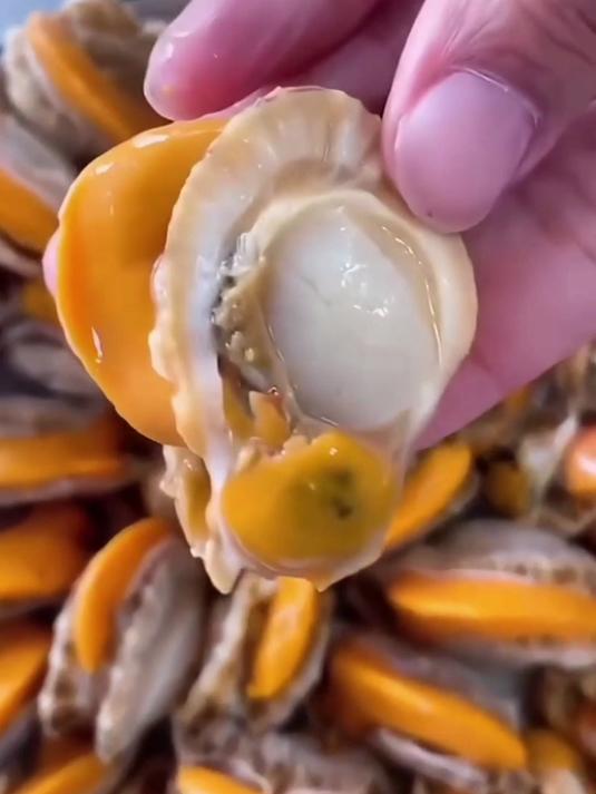 现剥扇贝肉带膏带黄!口感如蟹肉,一丝一缕超鲜