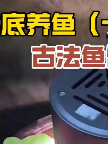 找到一个20年前的大水缸，做古法鱼缸来养鱼！