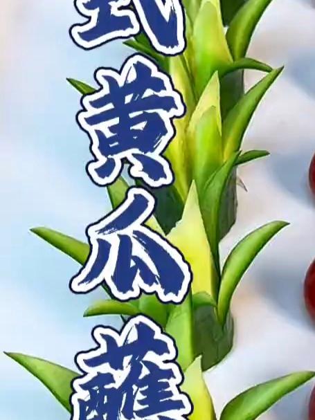 花式黄瓜蘸酱，简单又好看 凉菜摆盘装饰技巧