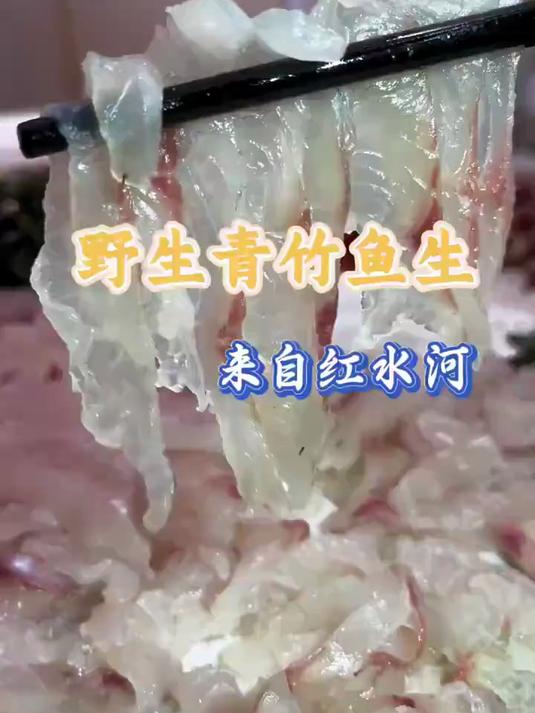 #优质视频激励计划#广西红水河野生青竹鱼生肉质晶莹剔透,周末小聚鱼生走起