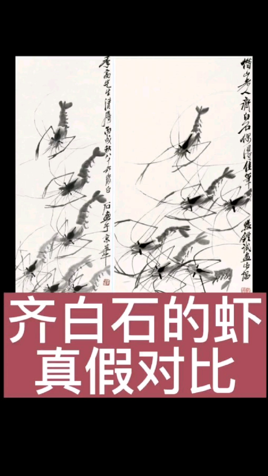 两幅齐白石画的“虾”,你能看出哪一幅是白石老人的真迹吗?