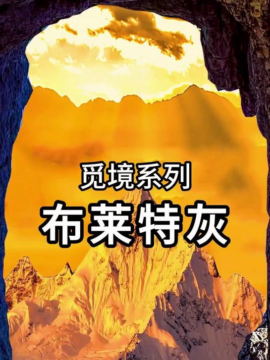 鹰牌陶瓷觅境系列·布莱特灰:灰的克制与金的张扬在此碰撞