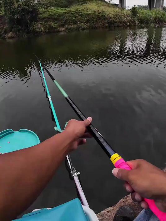 长江流域30+大鲢鳙轻松搞上岸#钓鱼人就是这么疯狂#