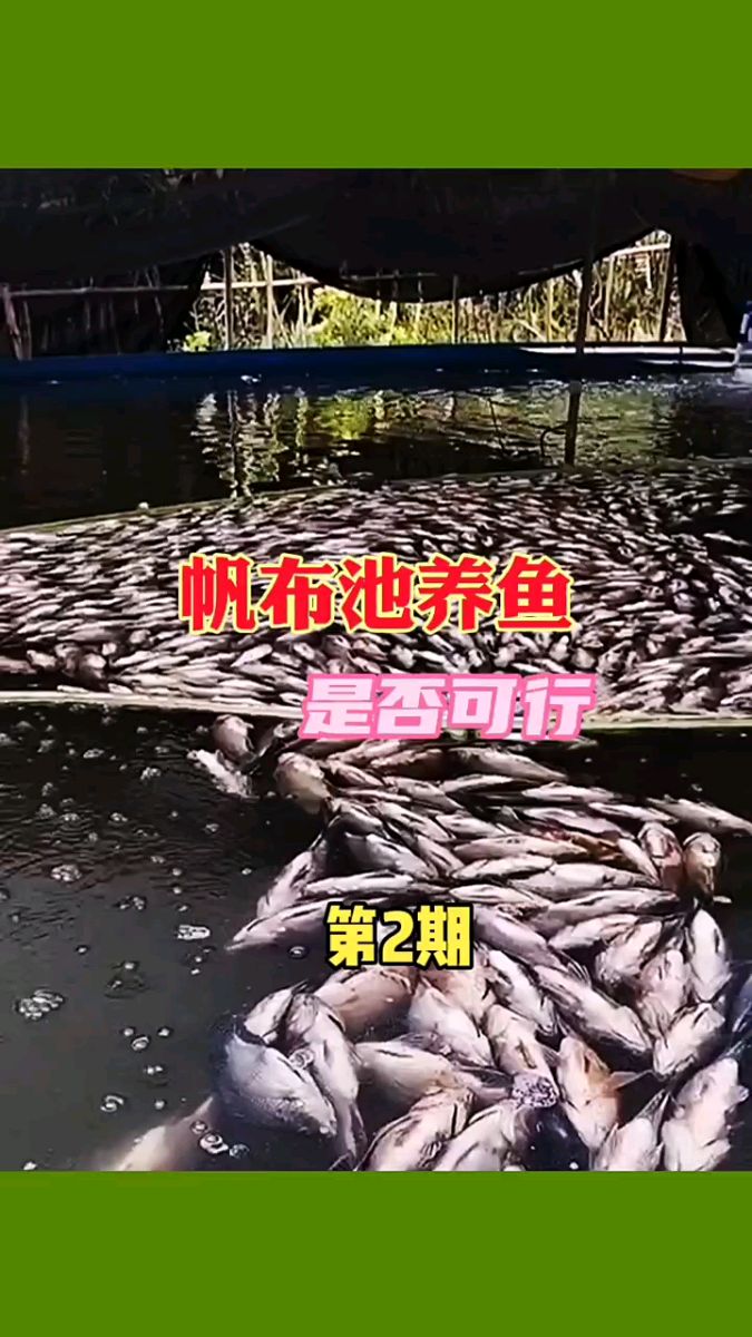 帆布鱼池养鱼到底行不行?二