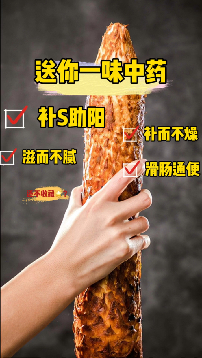 每天学一味中药——肉苁蓉 