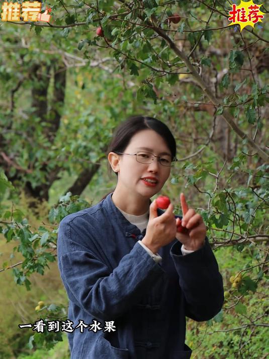 甜红子是山楂里的高端品种
