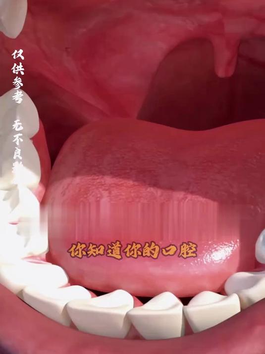 你知道你的口腔后面的肉球有什么作用吗,这个悬垂在你口腔深处的小东西,看起来就像一个拳击沙袋