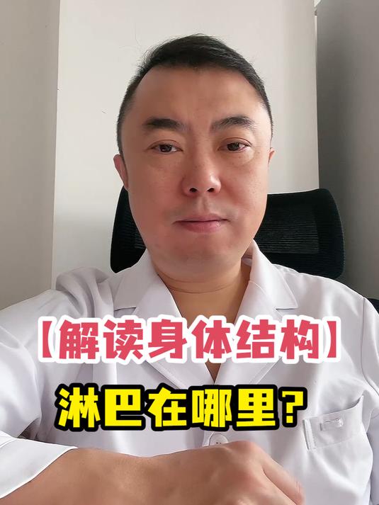 「解读身体结构」淋巴在哪里?