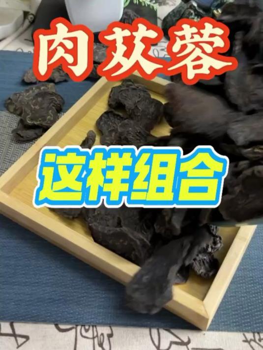 肉苁蓉切片,简单讲解一下