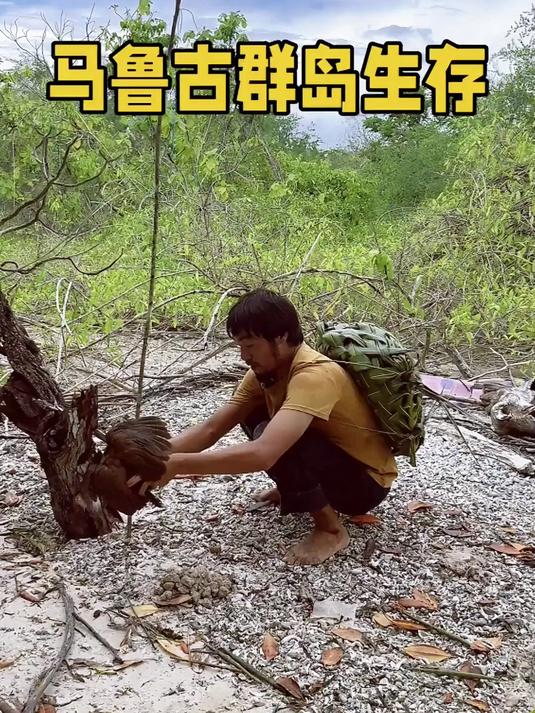 第31集，升级鱼叉后开始和贝拉潜水找食物！