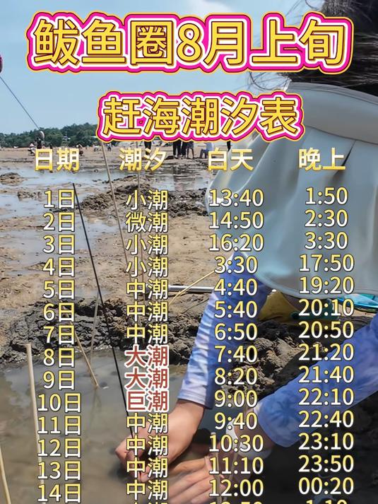 鲅鱼圈赶海潮汐表来咯#鲅鱼圈##鲅鱼圈赶海##鲅鱼圈旅游攻略#