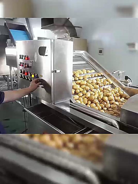 选凯大蒸汽发生器,打造高效节能土豆粉生产线