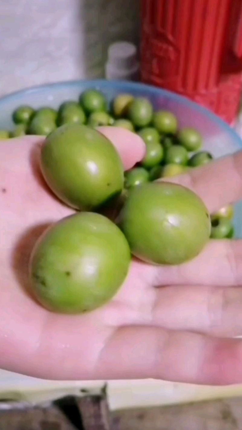 酸枣糕制作过程