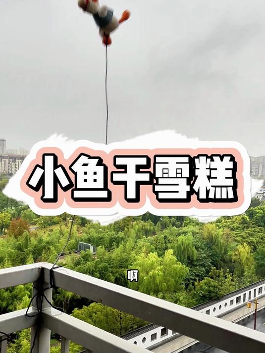 拿小鱼干做雪糕我也是挺牛