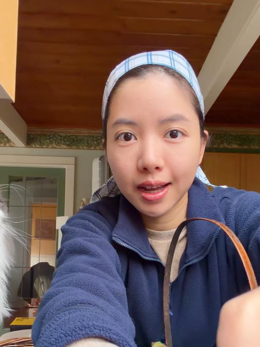 午餐番茄肉片汤粉