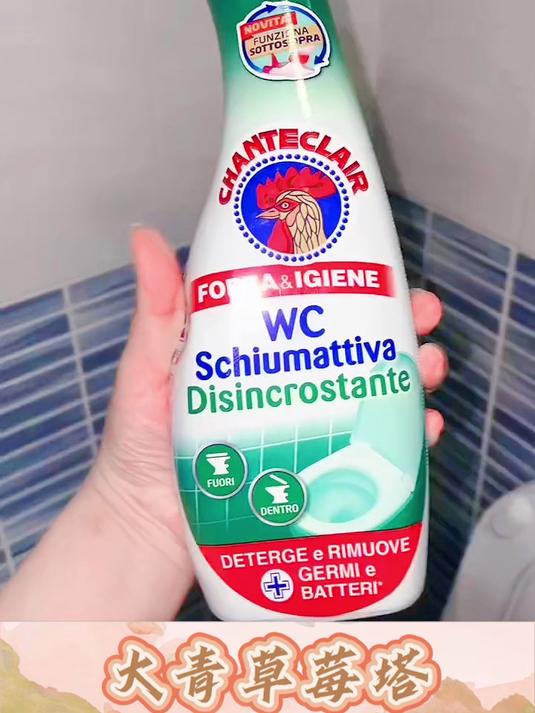 大公鸡管家洁厕灵 原装进口 大公鸡管家马桶清洁剂