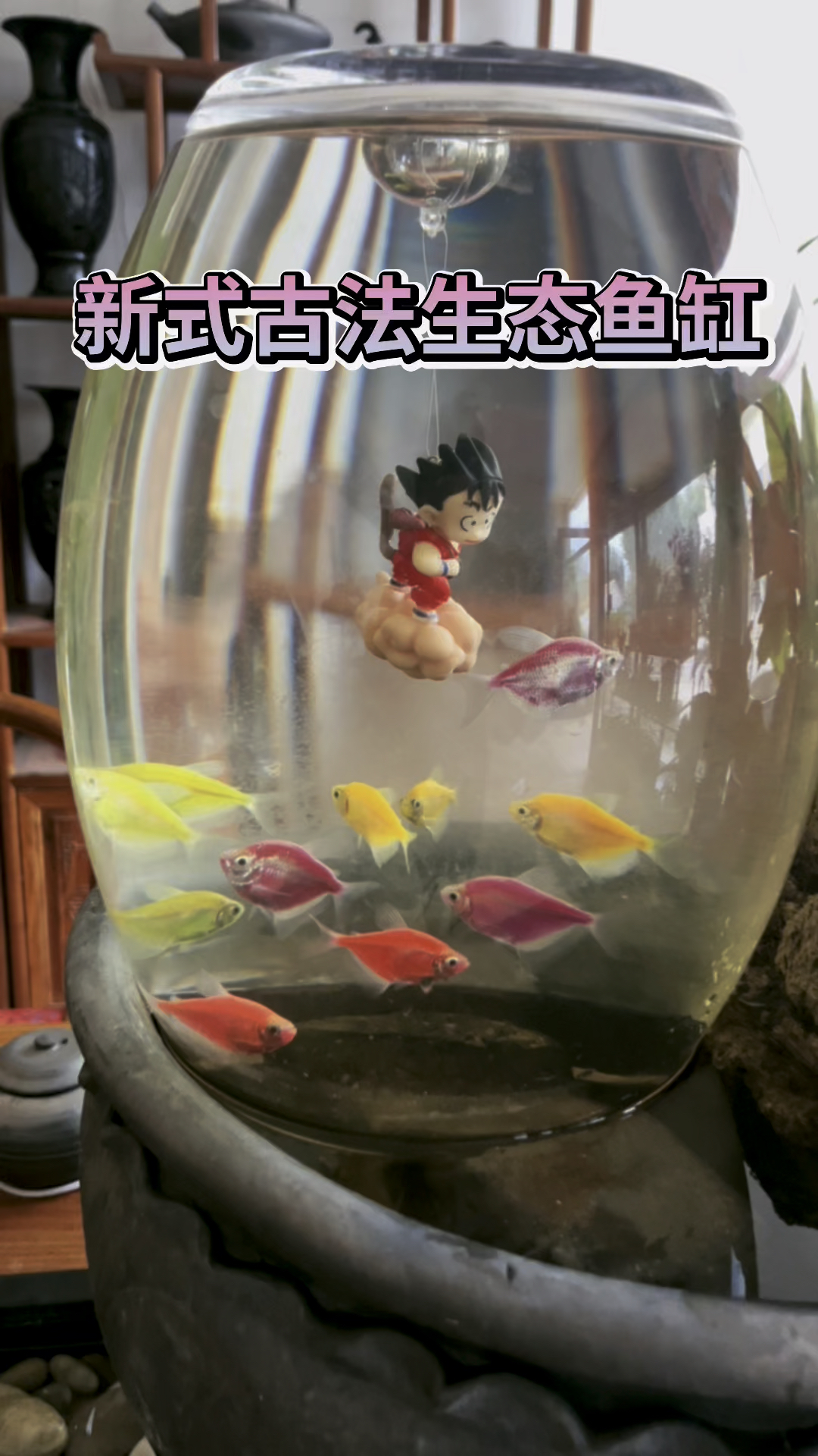 新式古法生态鱼缸