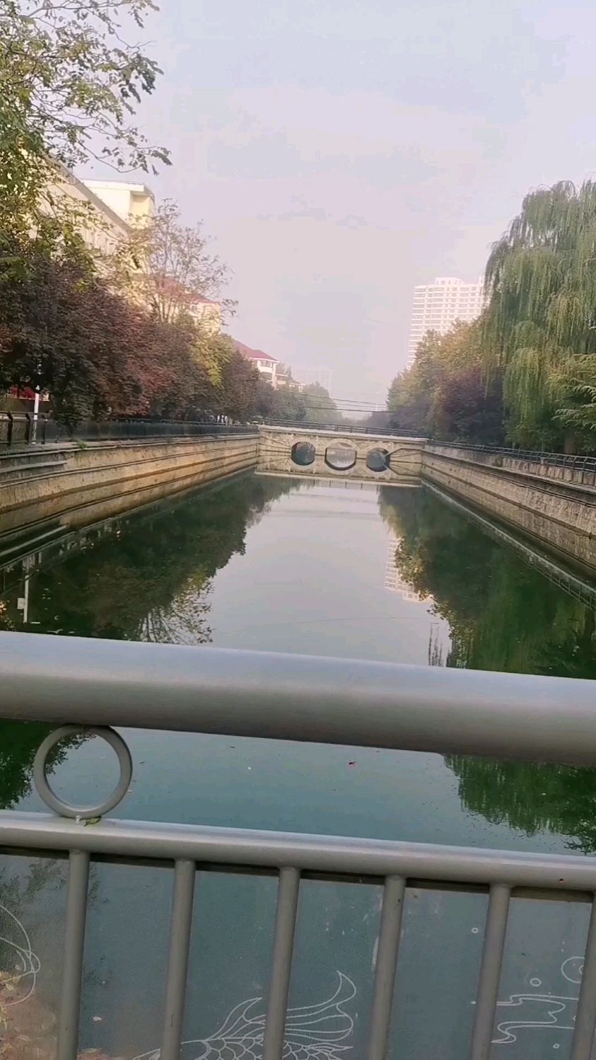 介绍一下眼睛的翼状胬肉