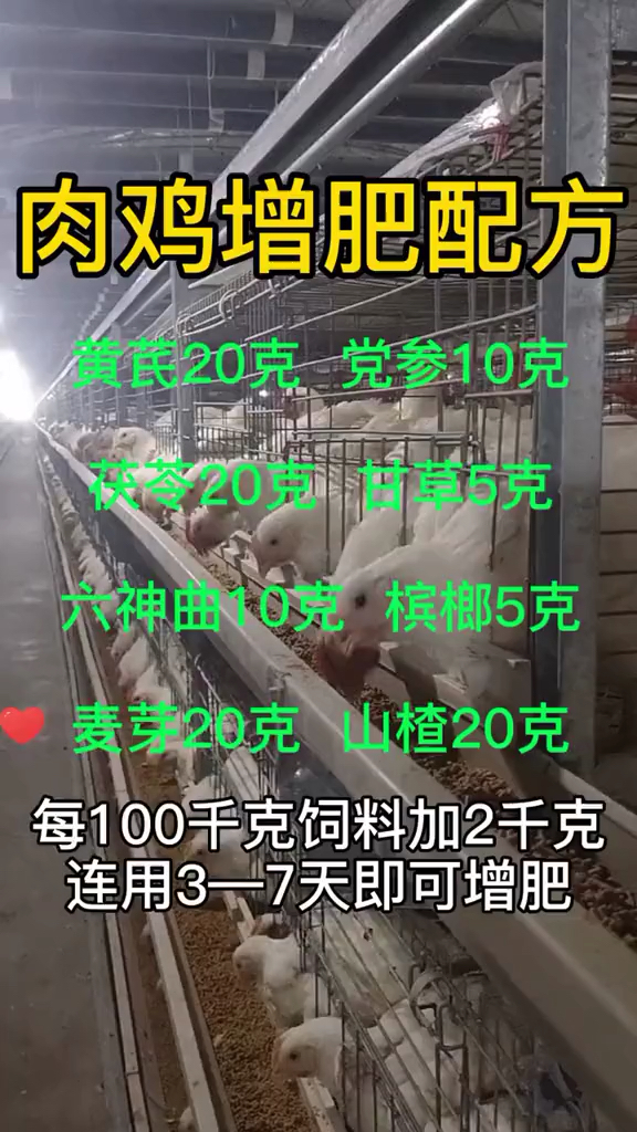 肉鸡增肥配方,建议收藏