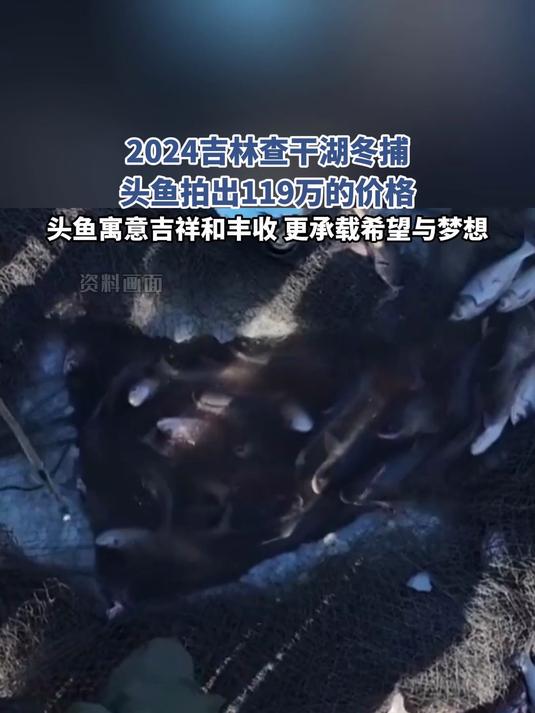 2024吉林查干湖冬捕,头鱼拍出119万的价格