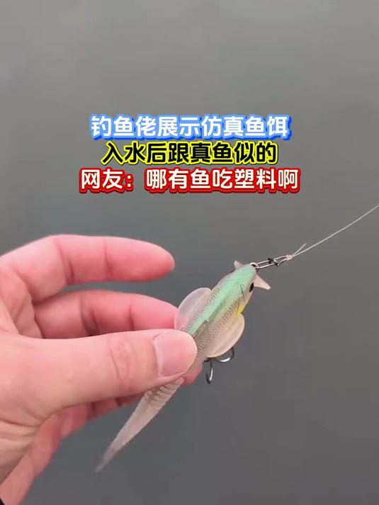 钓鱼佬展示仿真鱼饵,入水后跟真鱼似的,网友:哪有鱼吃塑料啊