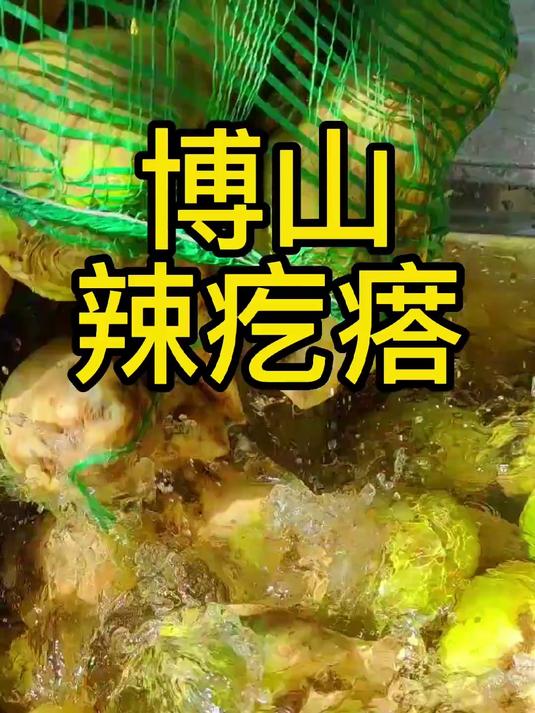 博山疙瘩咸菜，腌这道菜底盐必须多放