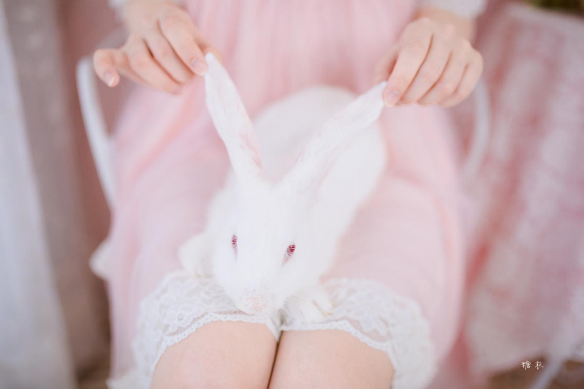 图片[23]-花语暗清香-六色网