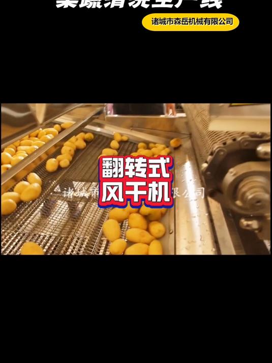 果蔬清洗风干设备,选我们!果蔬清洗风干线生产厂家,果蔬脱水翻