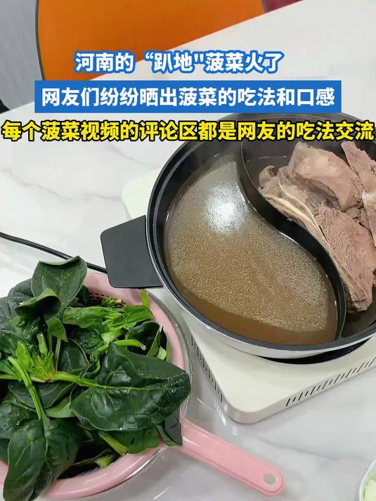 河南的 趴地菠菜火了，网友们评论区纷纷晒出菠菜的吃法和口感！