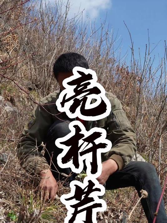 这野生的芹菜是比养殖的好吃啊！