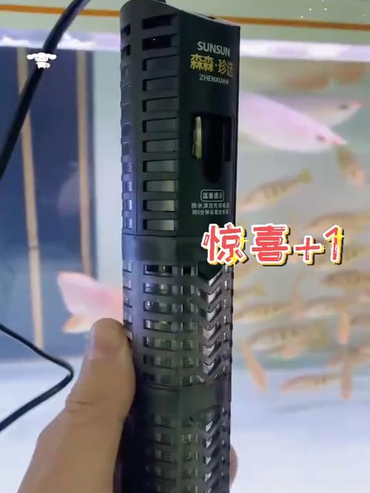 石英防爆加热棒,小型鱼缸也能用,恒温安全两不误