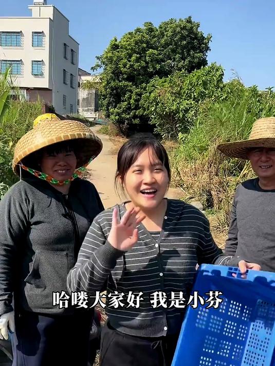 第一次腌潮汕咸菜,手忙脚乱做了三罐,能成功吗